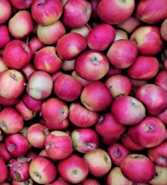 ������������ ������� � ������ ���������