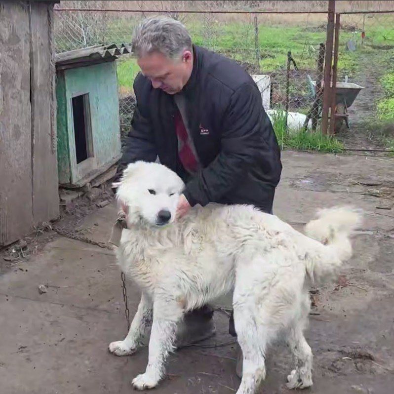 ������ ������� ����� ������ ������ ����� � ����