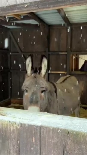 � ������ �����, ���������!