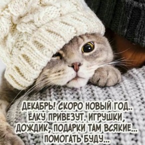 ������� �����. �� � Telegram