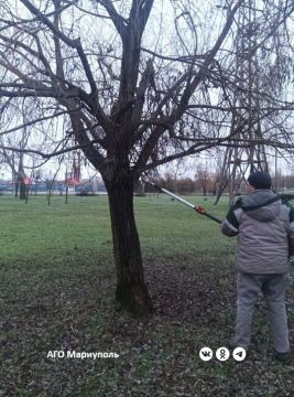 Мариупольские коммунальщики продолжают благоустройство зеленых зон