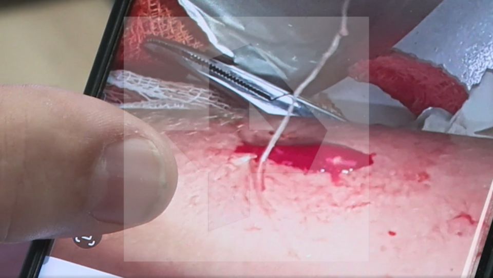 ��������� �������� �� �������� ������ ���������� �������� ������� � �������� ���������