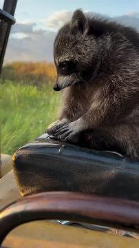 С добрым утром, Мариуполь!