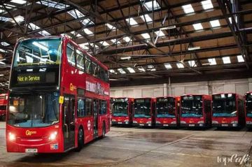 ��������������: ����� ������� � ���� ���������� ���� - � ���-�����, ��� ��� � ��� ��������� �� ������������ ����� 30 ����� �����