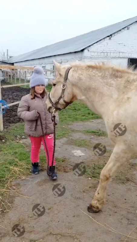 2026 � ��� ������. �����, �������� � ������ � ����� ���, ������ ���������� ��������� � �� ������� - �����������, � ��������� - ������������, � � ��������� - ������������ ������� ��� �� ������ �������� � ��� ����� ��������...