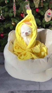 Спокойной ночи, Мариуполь!