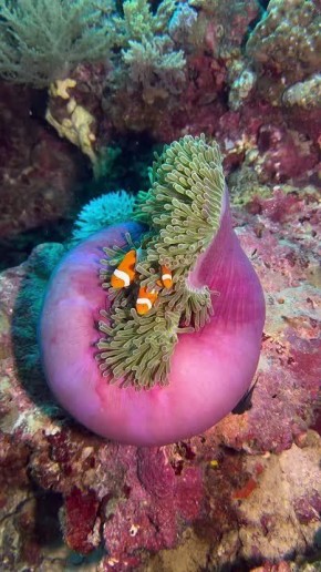 Спокойной ночи, Мариуполь!