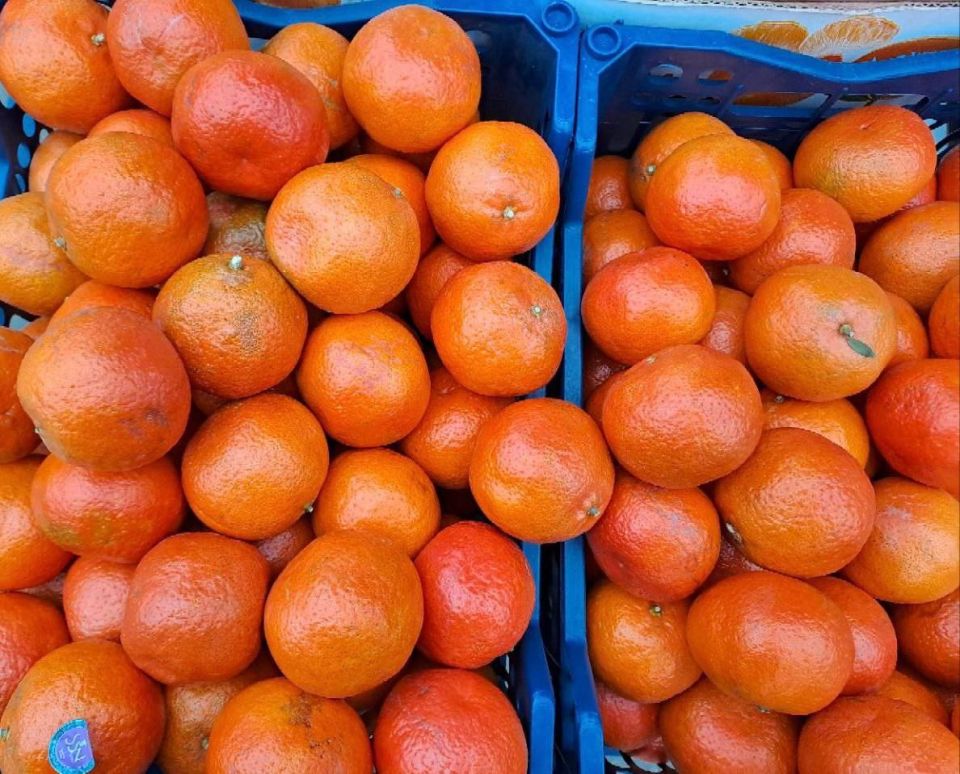 ������������� ������� � ������ ���������