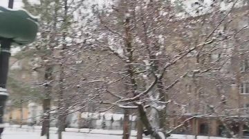 Виктор Петренко, возглавляющий Союз журналистов России в ДНР, поделился своим видео, на котором запечатлен зимний пейзаж в Донецке