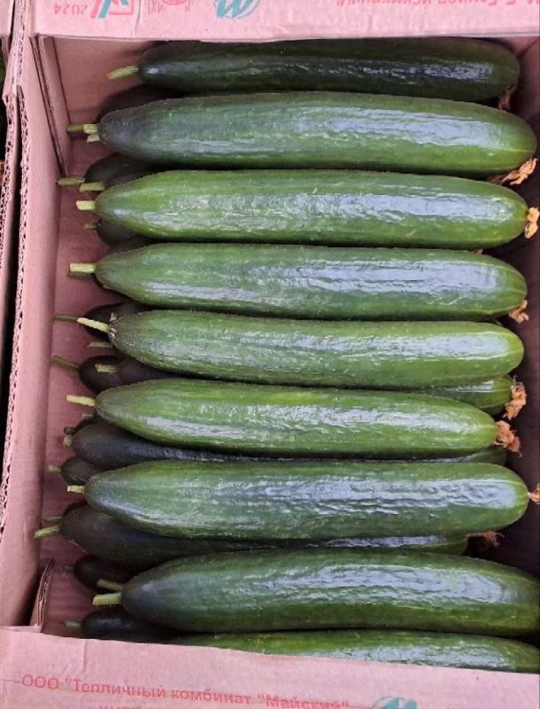 ������������� ������� � ������ ���������