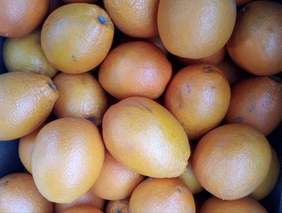 ���������� ����������� � �. ���������