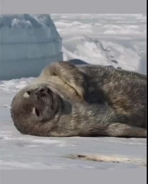 С добрым утром, Мариуполь!