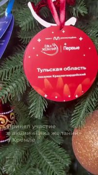 Губернатор Тульской области исполнит мечту девочки из Мариуполя