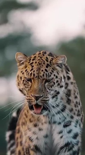 � ������ �����, ���������!