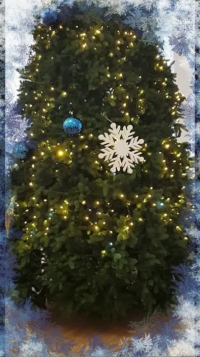 ���������� ��� ����������� � ��������� ���������� ���� � �� �������������� �������������� ������