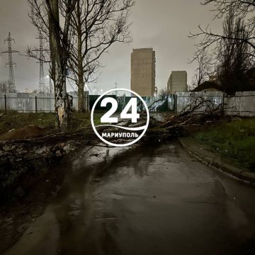 ����� ��������. �� ����� ���������� ���� �� ��. �������, 3 ����� ����� �� ����� ���� ������ ������