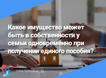 Какое имущество может быть в собственности у семьи одновременно при получении единого пособия: