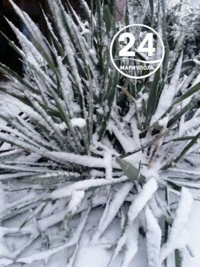 � ������ �����, ���������!