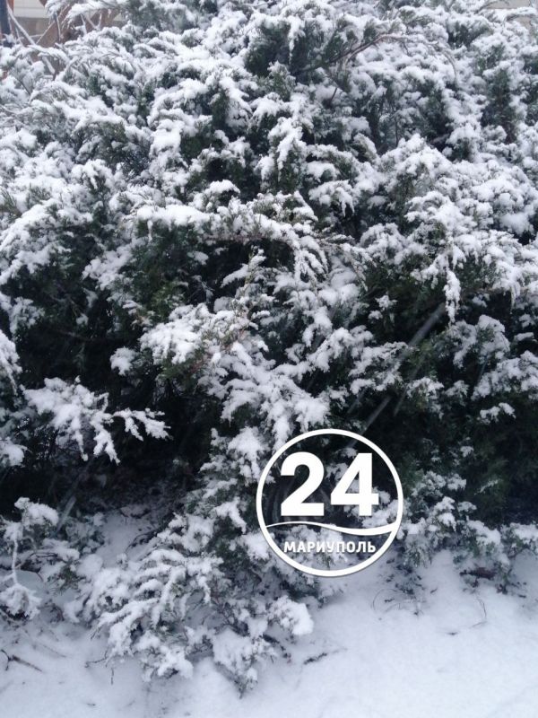 � ������ �����, ���������!