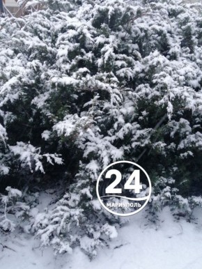 � ������ �����, ���������!