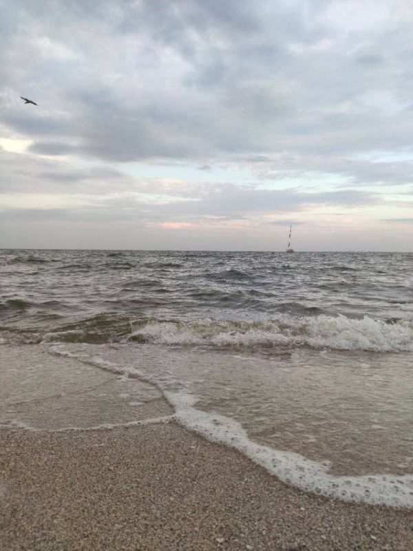 �������� ��������� ��� ����� ����������� �� ������� ������-�����