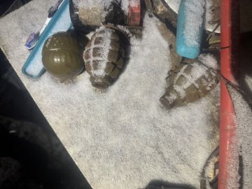 ������ ������������ ������ �������� ���������� � ������ ��������