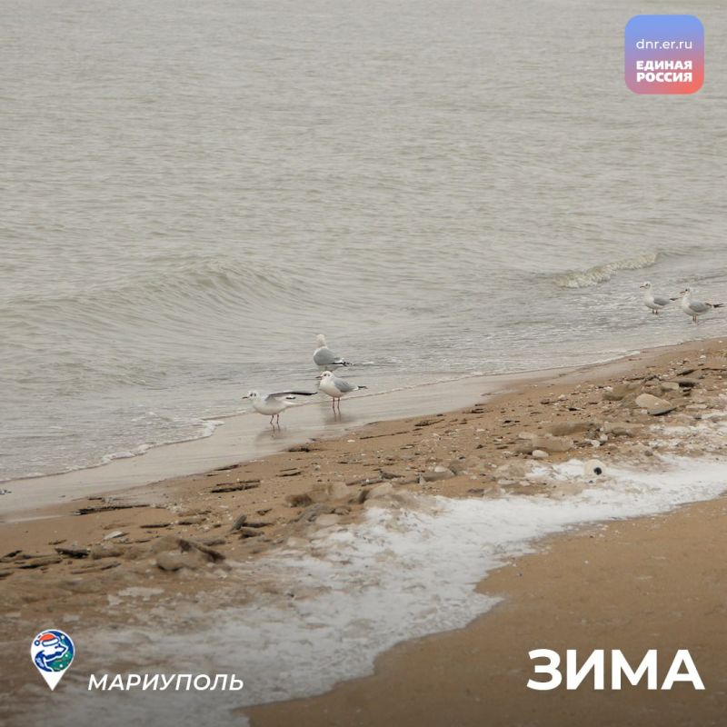 ���� �������� ����� � ������� �����, ���������� ������� �����