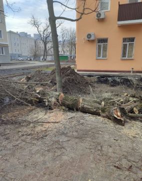 Реальные дела рядом: субботник при участии ЕР и шеф-региона