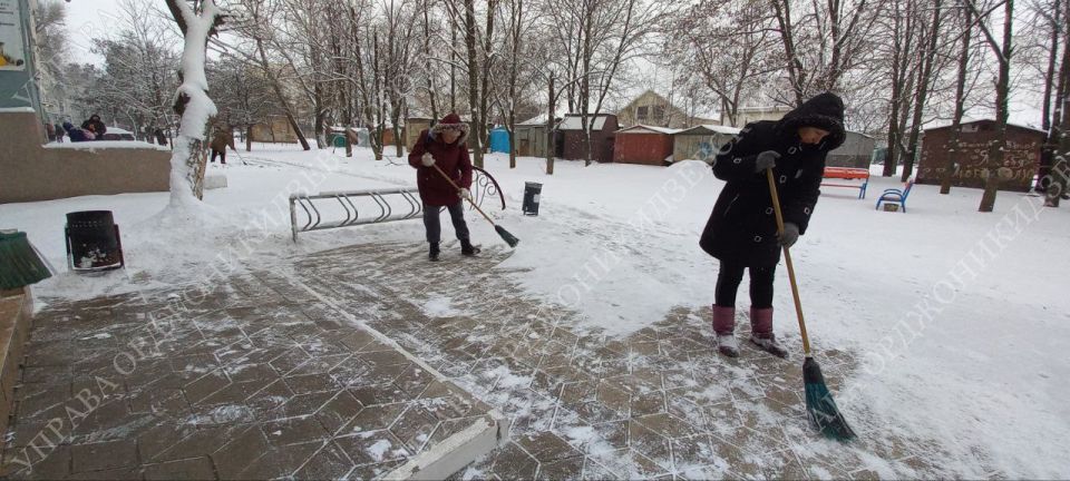 ����������: ���� ����� � ������ ��� �� �����!