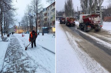 Антон Кольцов: Коммунальщики освобождают от снега общественные пространства