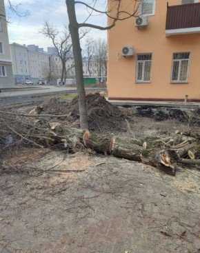 Реальные дела рядом: субботник при участии ЕР и шеф-региона