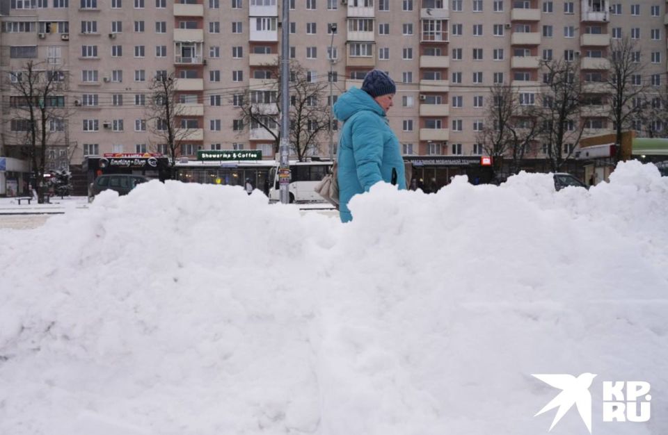 ����� ��������� �������� ������