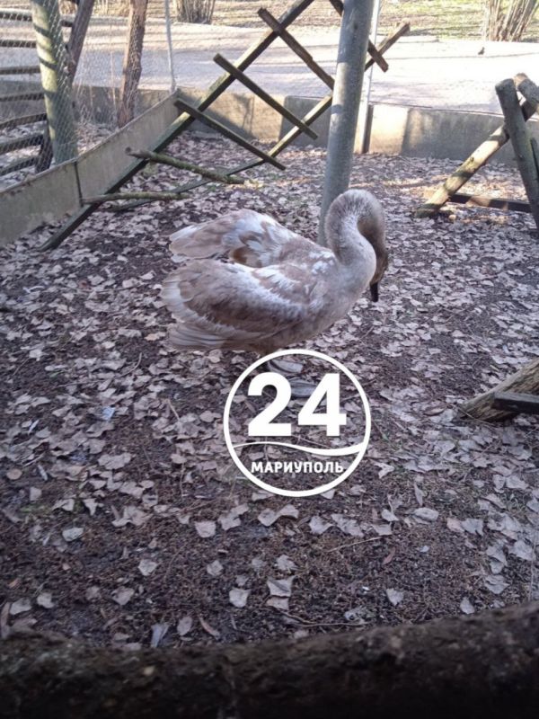 � ������������ ����� �������� ����� ��������� ����� ����������� ������� ������-�����