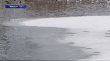 ��������������� ������ �������� ������������ ��� � ������ ������