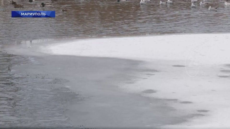 ��������������� ������ �������� ������������ ��� � ������ ������