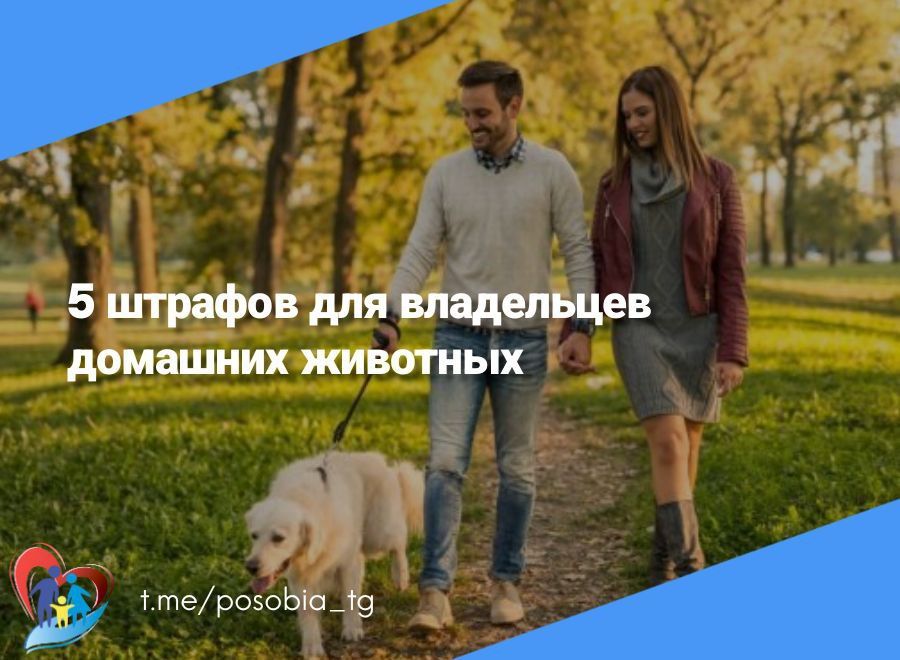 5 ������� ��� ���������� �������� ��������