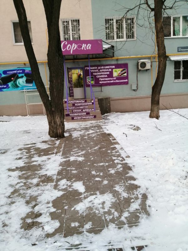 ��������� � �����: � ����������������� ������ ������ ��������� ������� ������