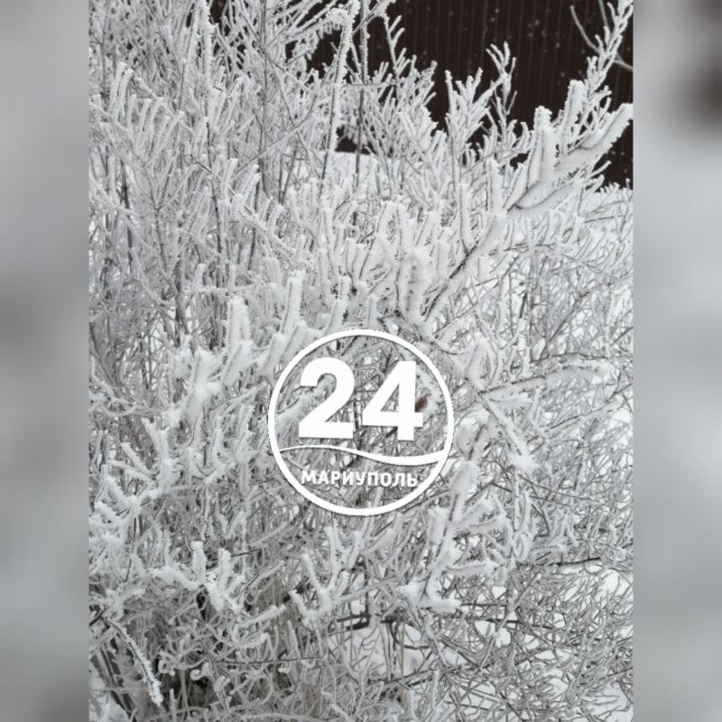 � ��������� - ������� �������: ����� ������ �������