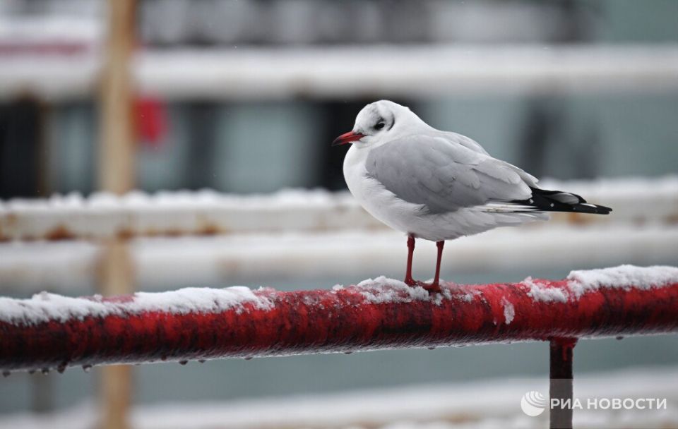 ������ �� ����� ����������� ������