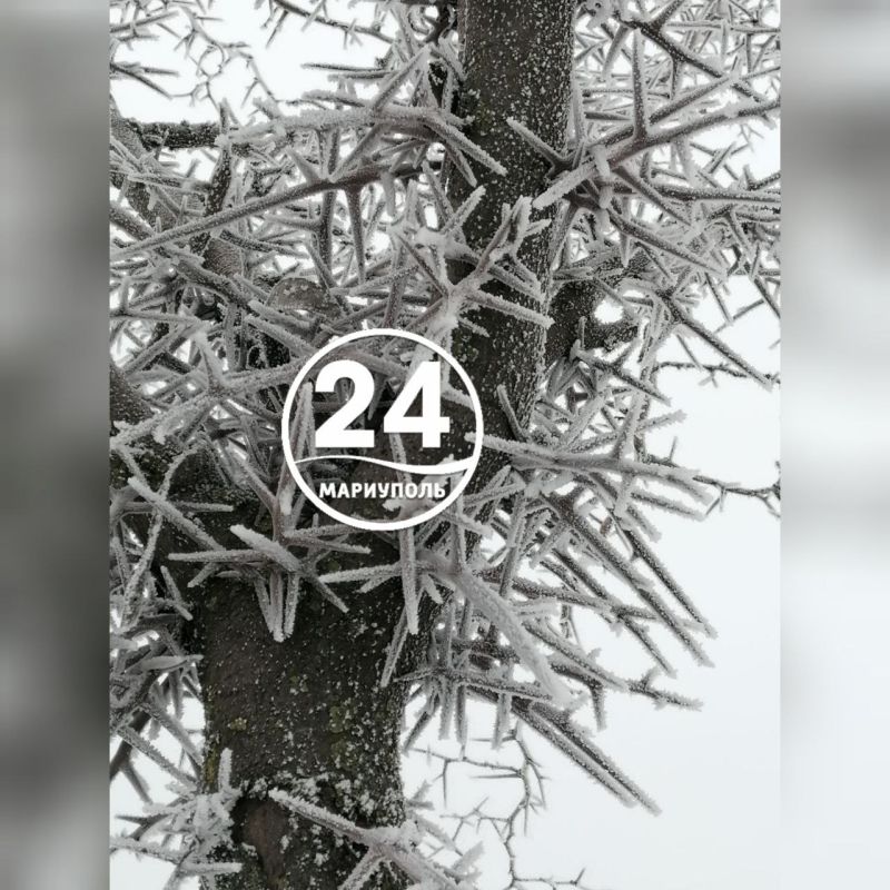 � ��������� - ������� �������: ����� ������ �������