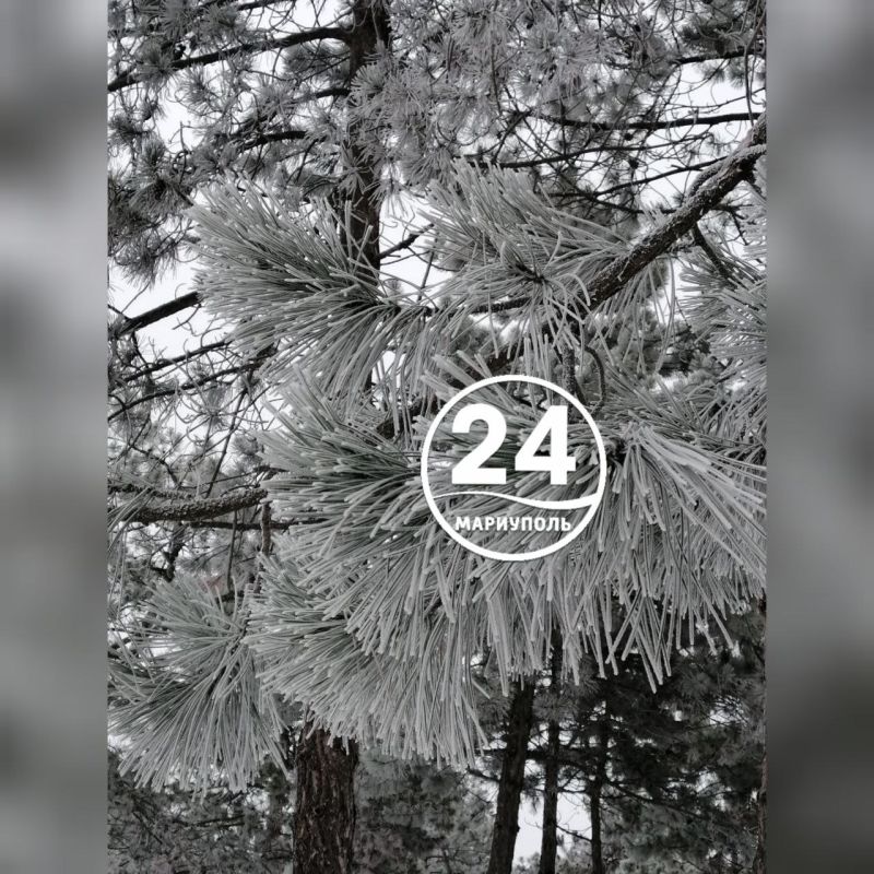 � ��������� - ������� �������: ����� ������ �������