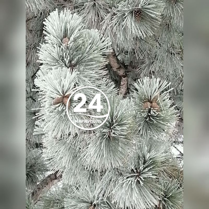 � ��������� - ������� �������: ����� ������ �������