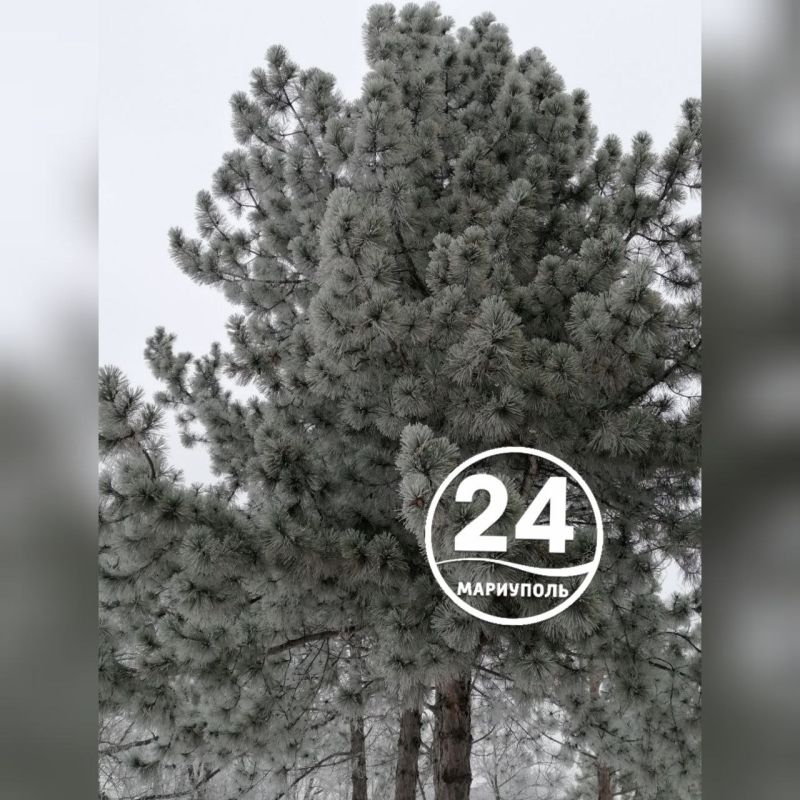 � ��������� - ������� �������: ����� ������ �������