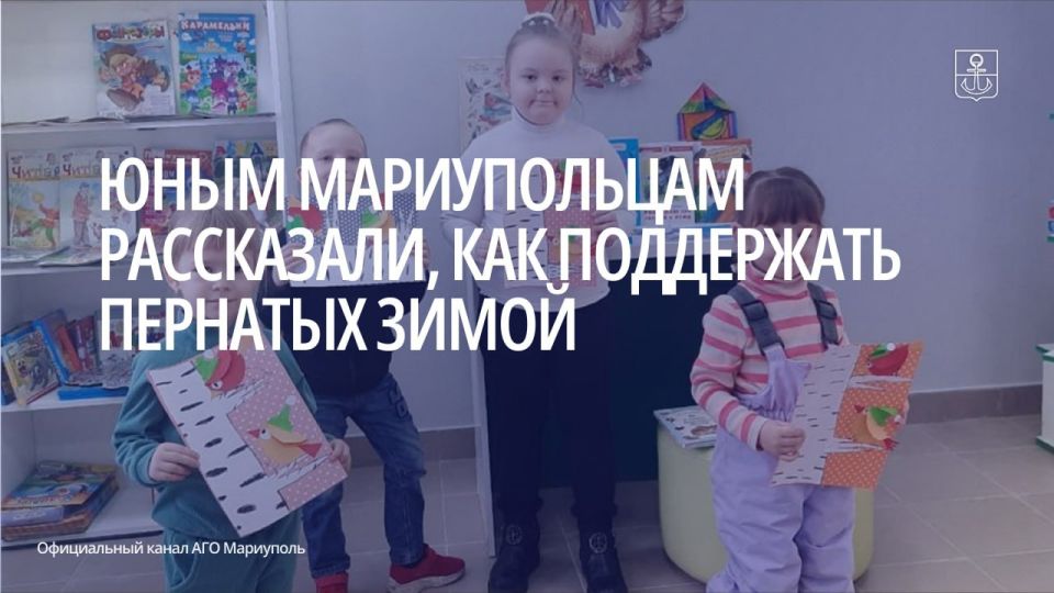 Зимой пернатым обитателям городов становится сложнее отыскать пропитание