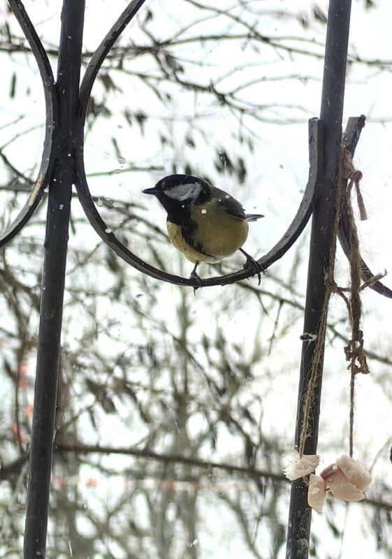 ������ �� ���������. �������� ������� ������������