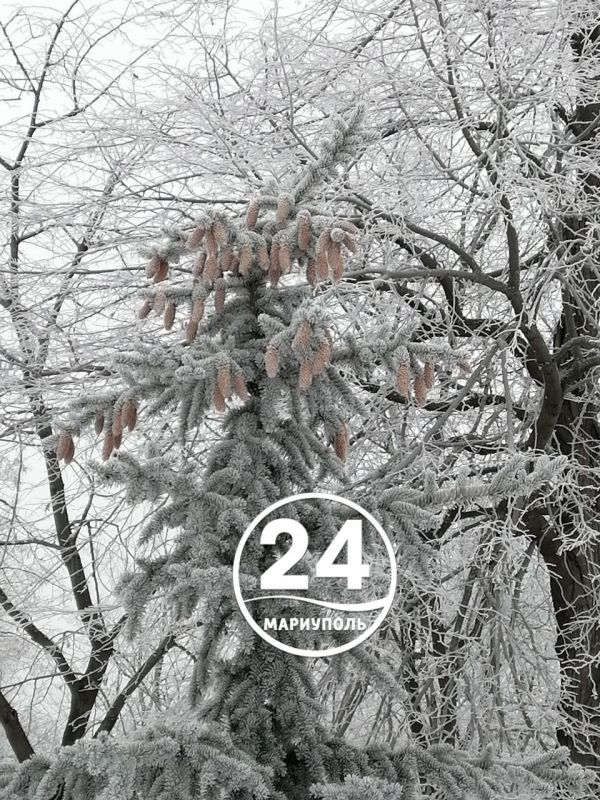 � ������ �����, ���������!