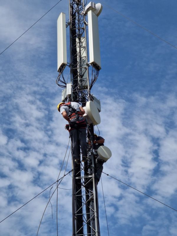 �� ������ ������ � 2025 ���� ��� ��� ������ ��������� :