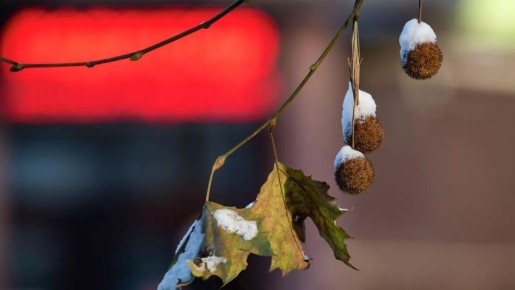 Погода на новых территориях России