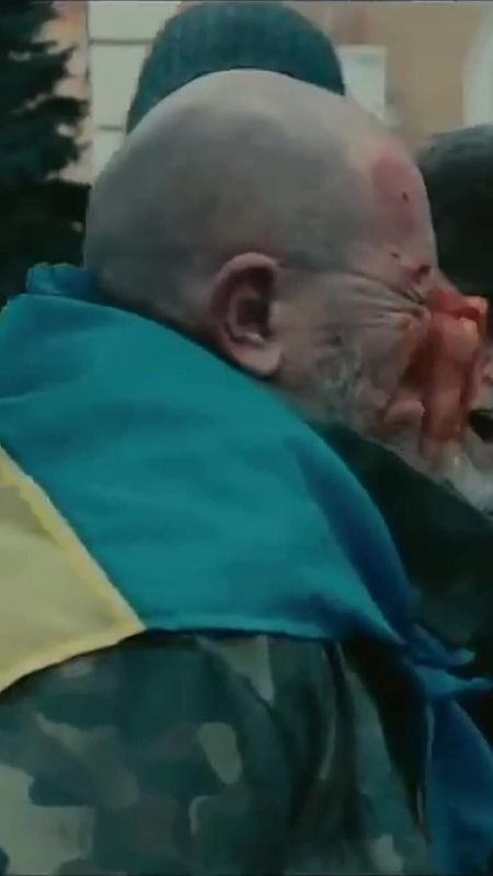 А ты уверен, что вся информация на экране действительно достоверна?