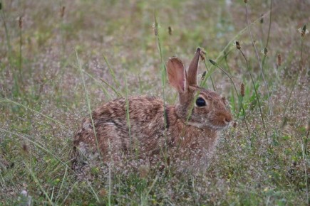 ����� �������� � ����� ��� ����� ��������������?